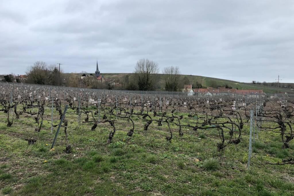 Le Petit Ecrin Champenois Apartment Etoges Bagian luar foto